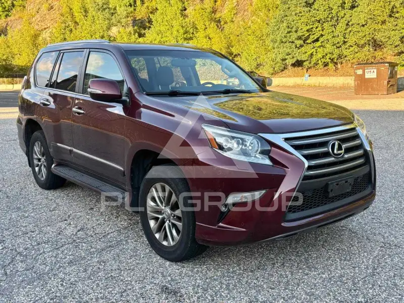 2016 Lexus GX фото