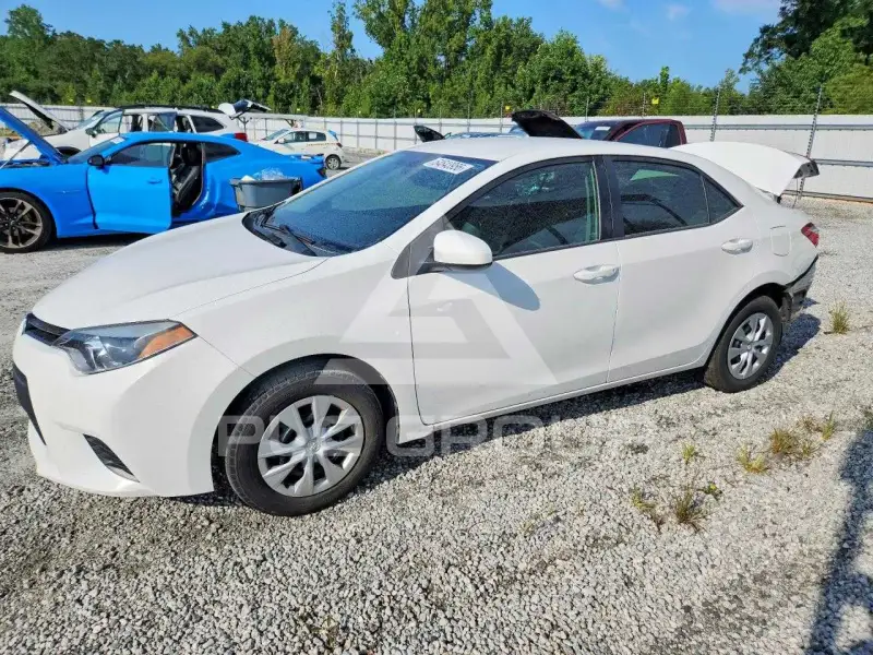2016 Toyota COROLLA photo