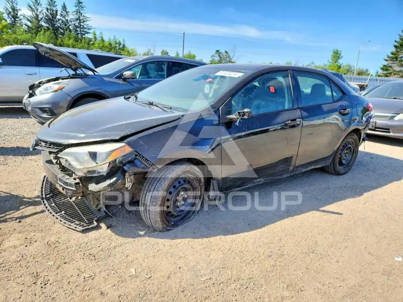 2016 Toyota COROLLA photo