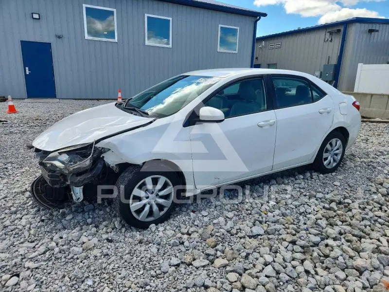 2016 Toyota COROLLA photo