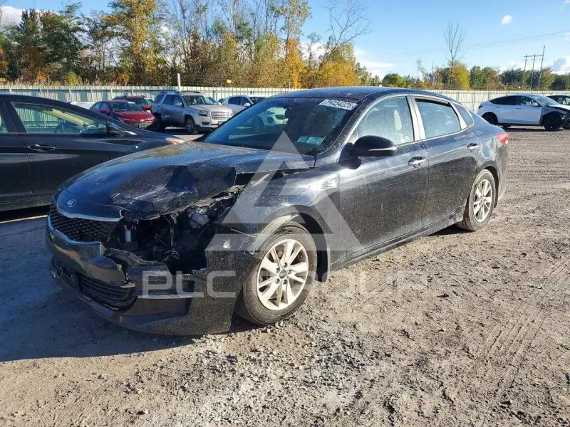 2016 KIA Optima фото