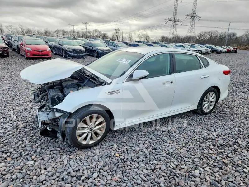 2016 KIA Optima фото