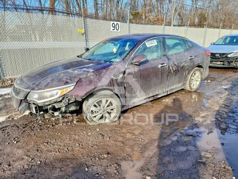 2016 KIA Optima фото