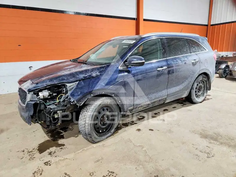 2016 KIA Sorento photo