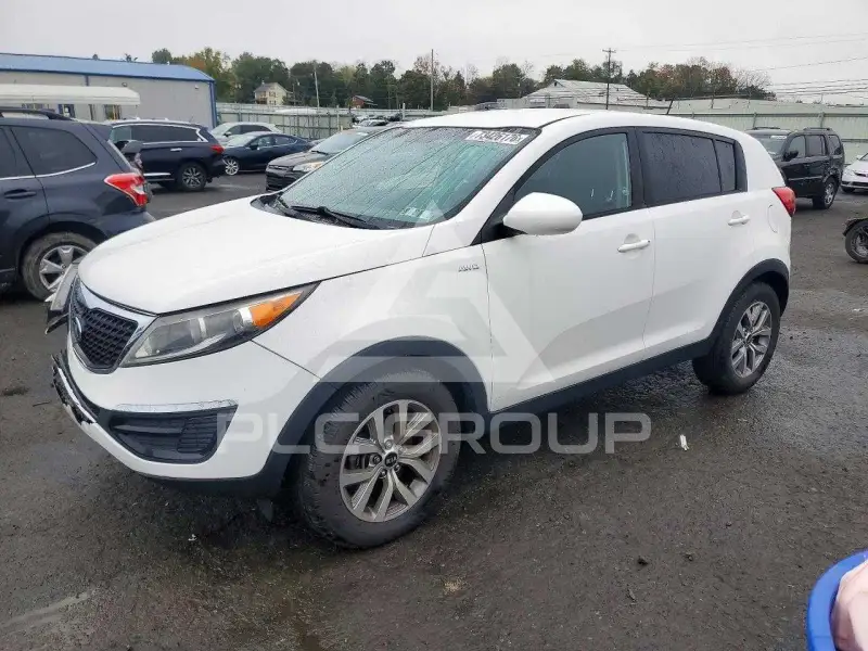2016 KIA Sportage photo