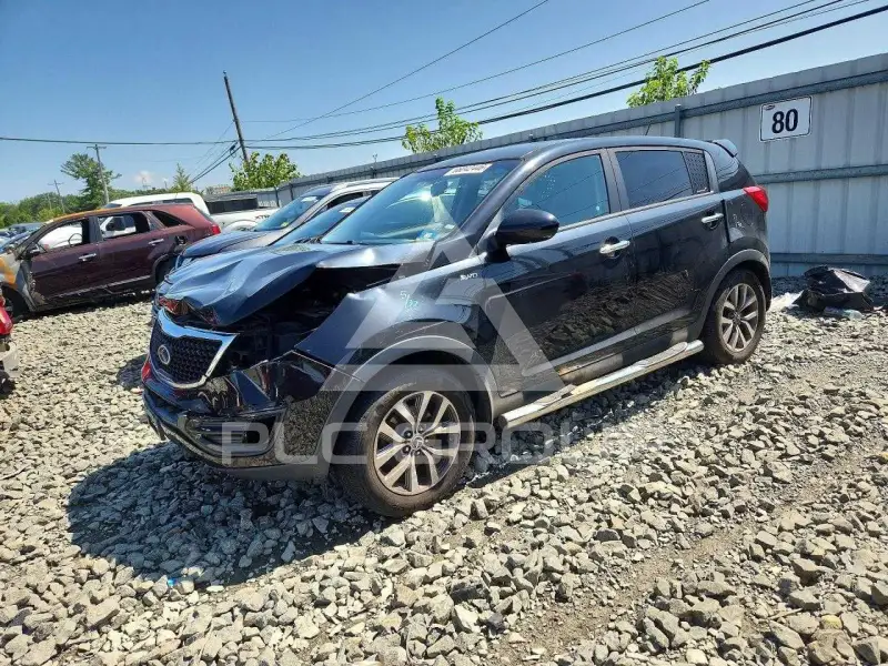 2016 KIA Sportage фото