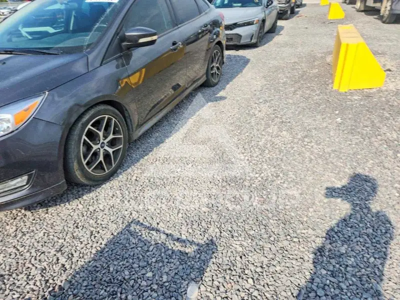 2016 Ford FOCUS фото