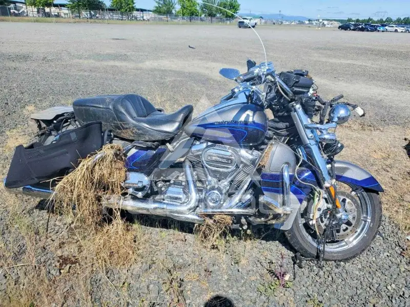 2017 Harley-Davidson FLSE фото