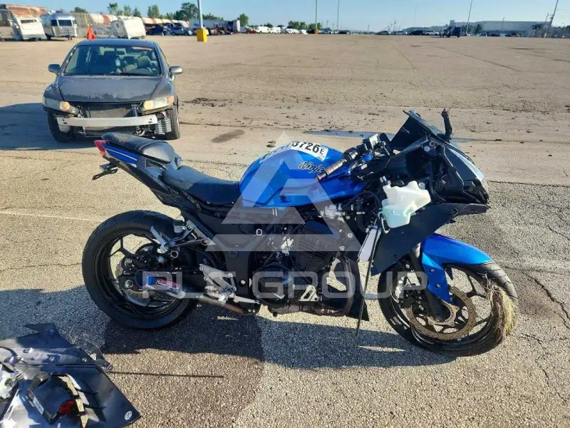 2017 Kawasaki  фото