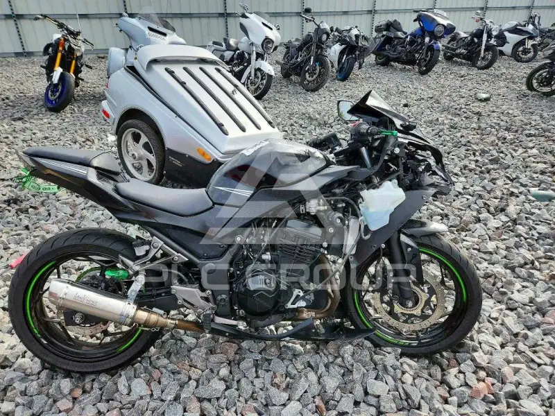 2017 Kawasaki Ninja300 фото
