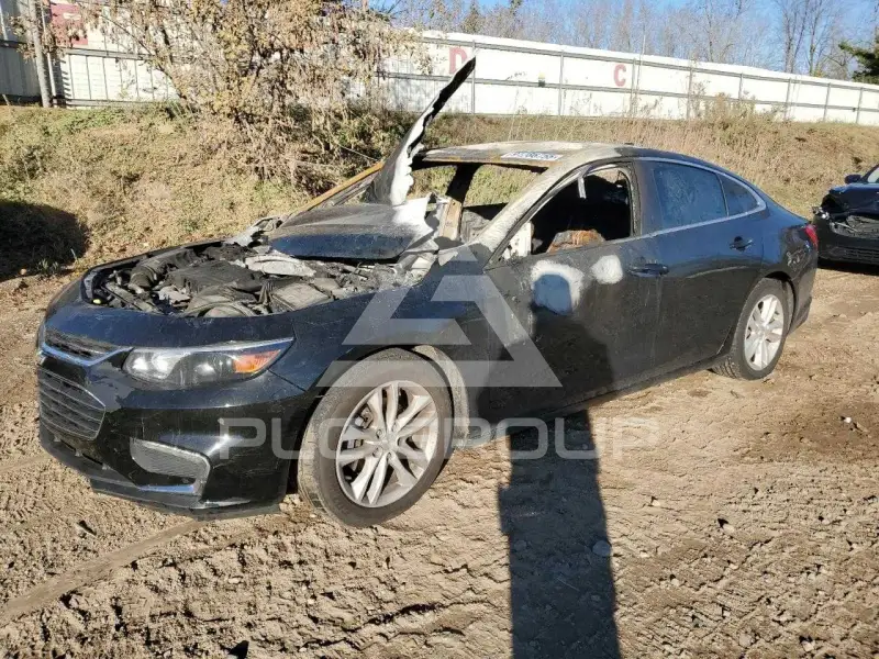2017 Chevrolet Malibu photo