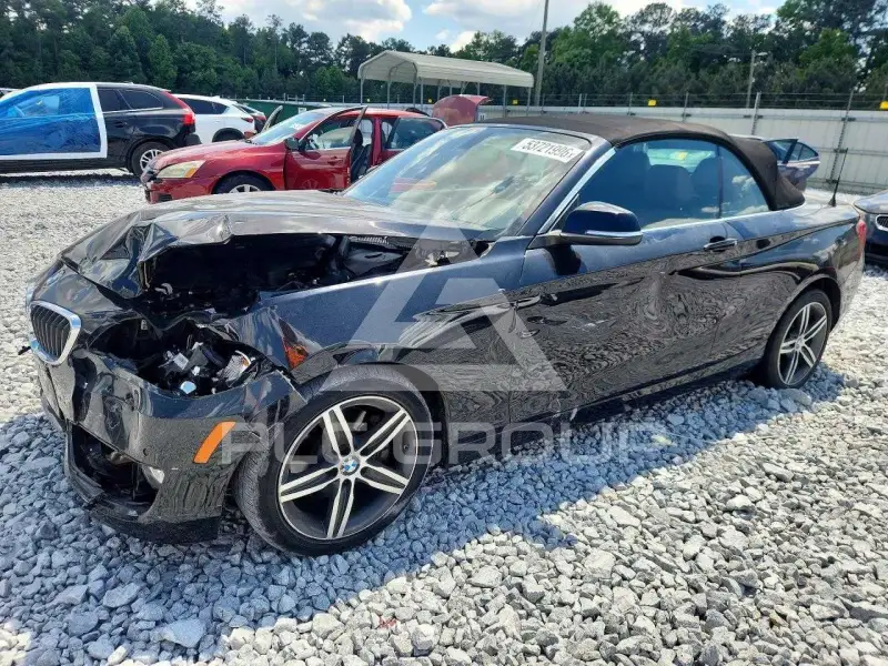 2017 BMW 230 photo
