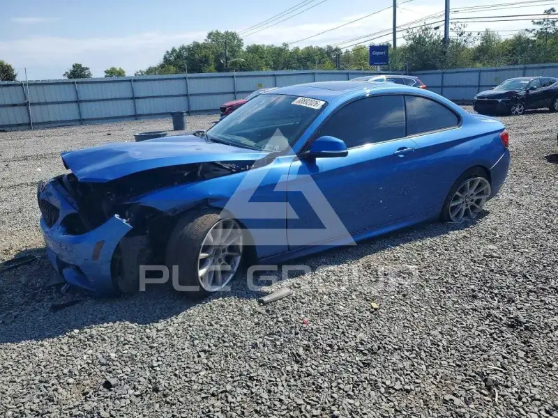 2017 BMW 230 photo