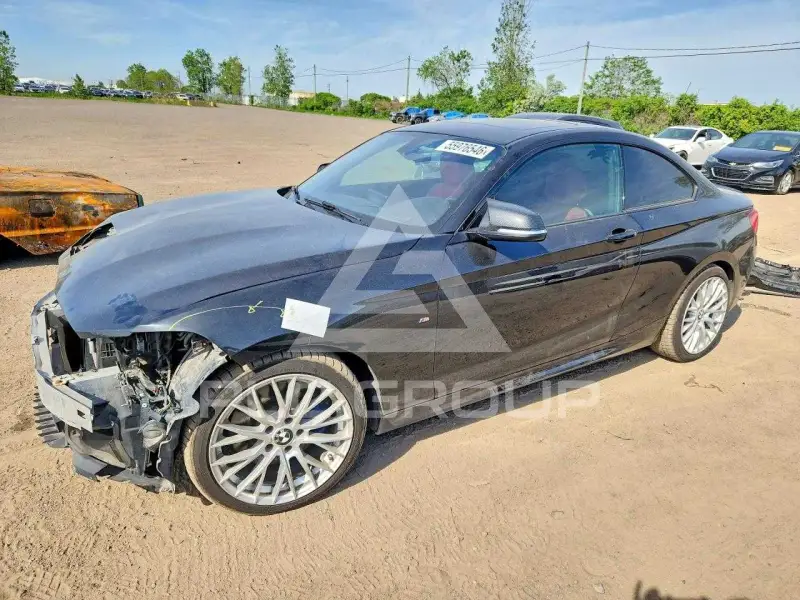 2017 BMW M2 photo