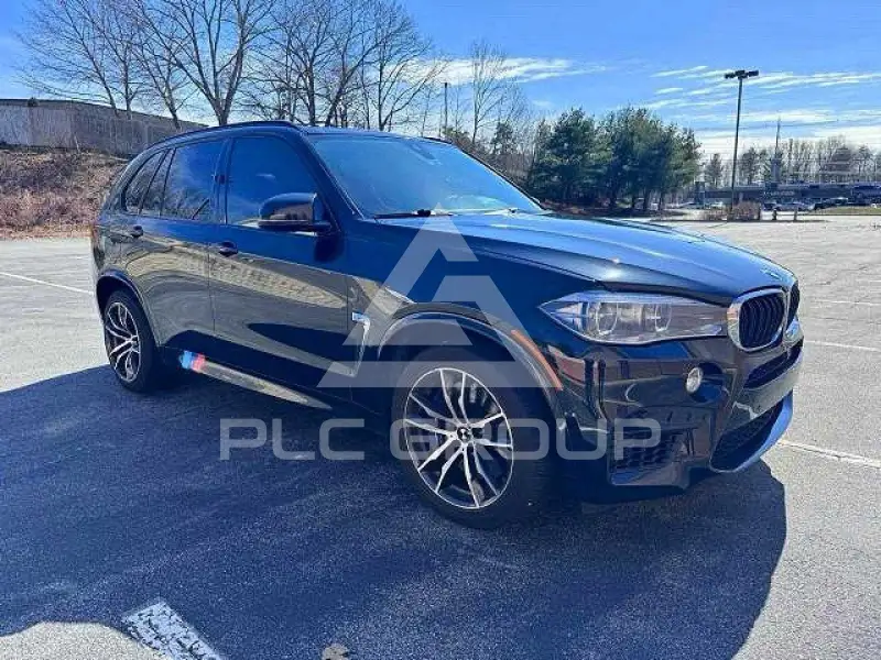 2017 BMW X5 photo