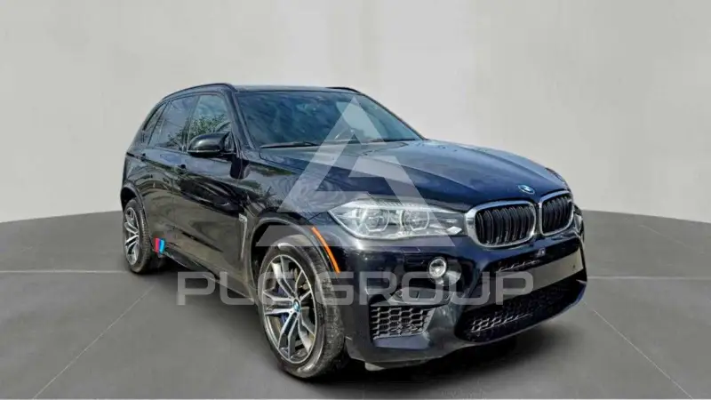 2017 BMW X5 photo