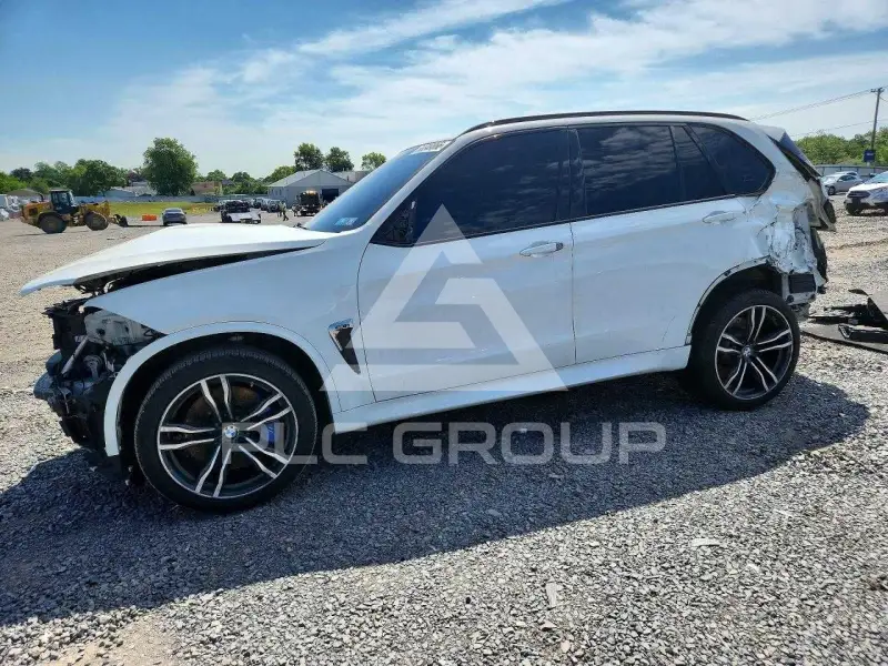 2017 BMW X5 фото