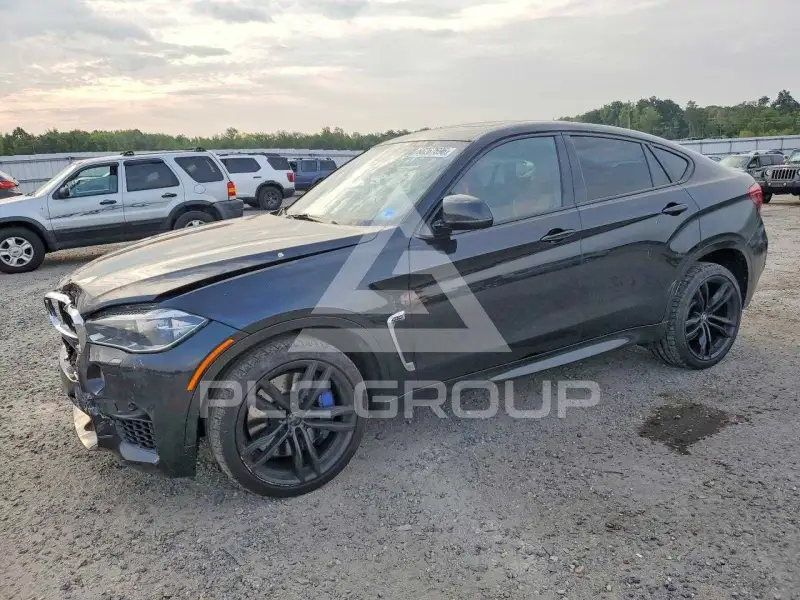 2017 BMW X6 photo