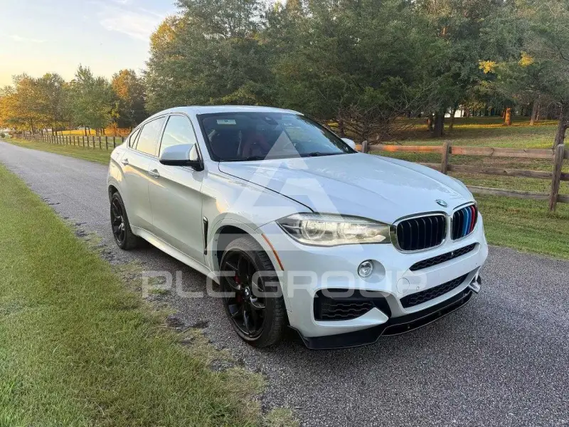 2017 BMW X6 фото