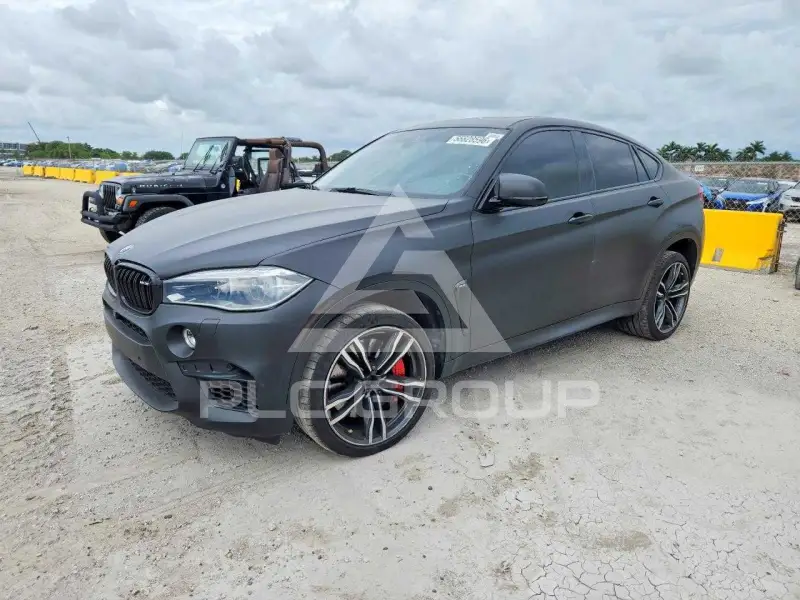 2017 BMW X6 фото