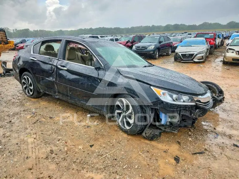 2017 Honda Accord photo
