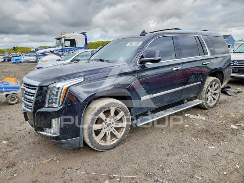 2017 Cadillac ESCALADE фото