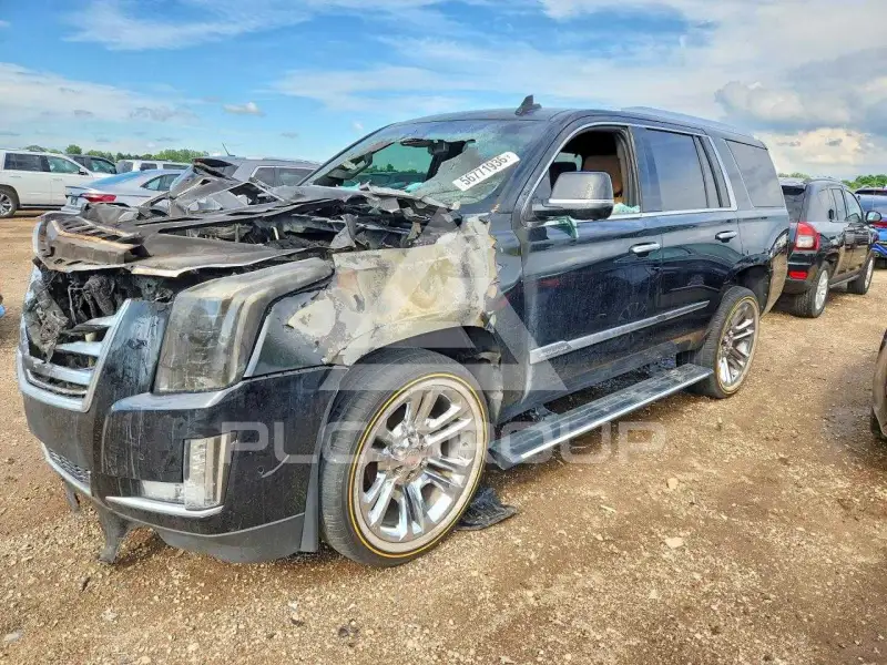 2017 Cadillac ESCALADE photo