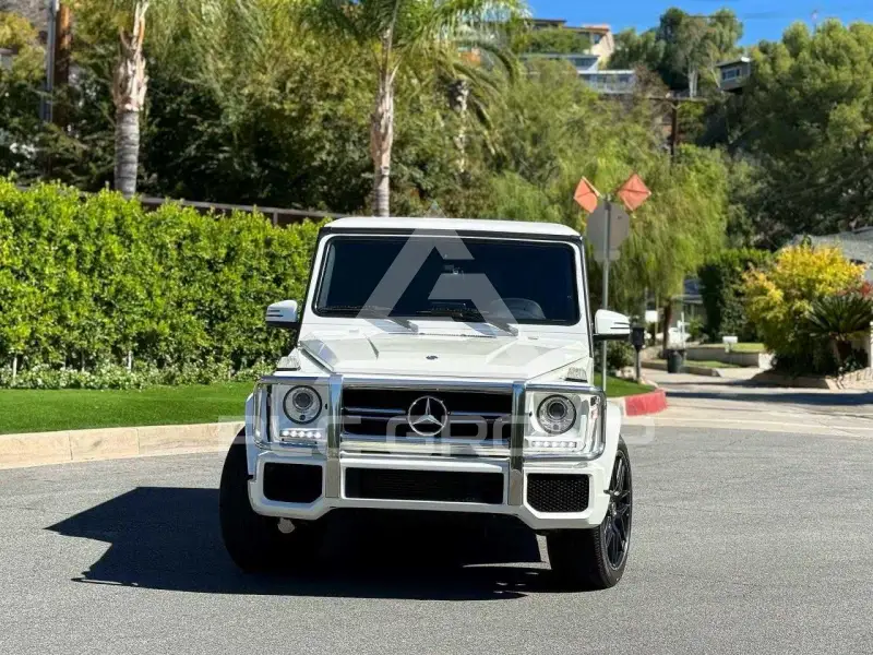 2017 Mercedes Benz G-Class фото