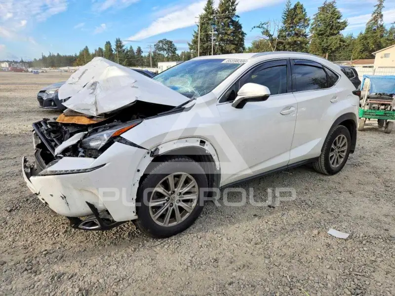 2017 Lexus NX photo
