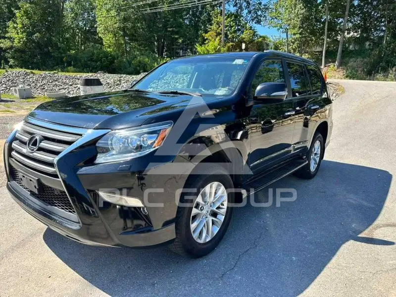2017 Lexus GX photo
