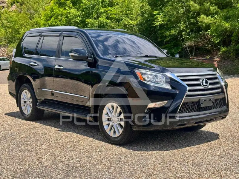 2017 Lexus GX фото