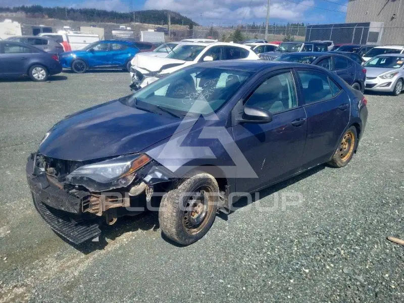 2017 Toyota COROLLA photo