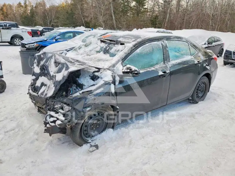 2017 Toyota COROLLA photo