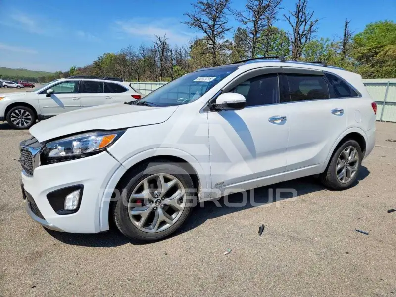 2017 KIA Sorento photo