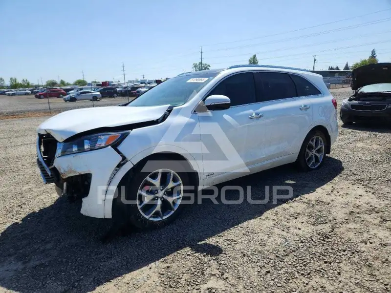 2017 KIA Sorento photo