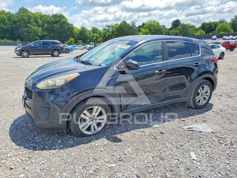 2017 KIA Sportage photo