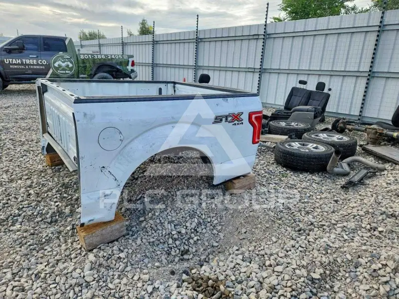2017 Ford F-150 фото