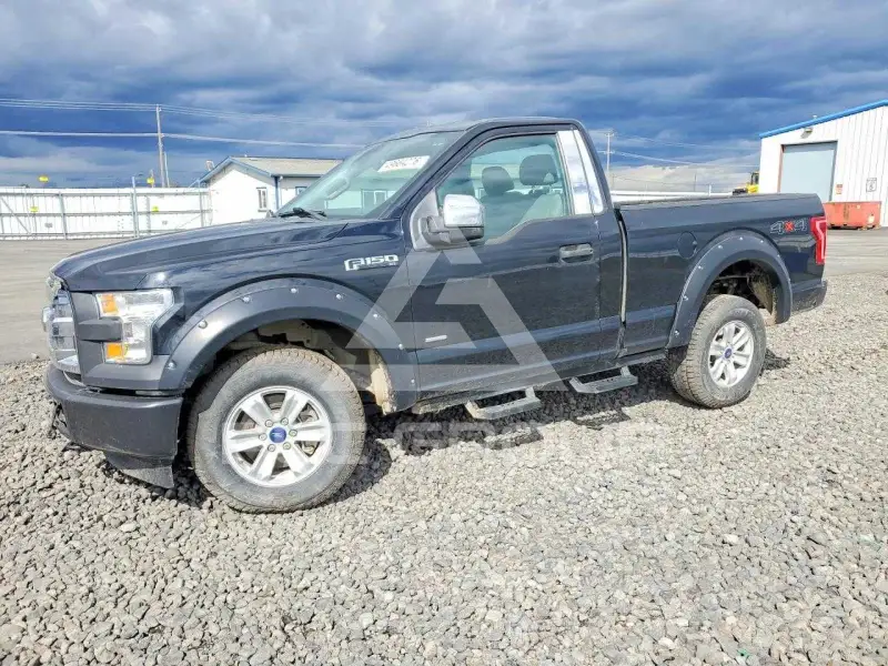 2017 Ford F-150 фото