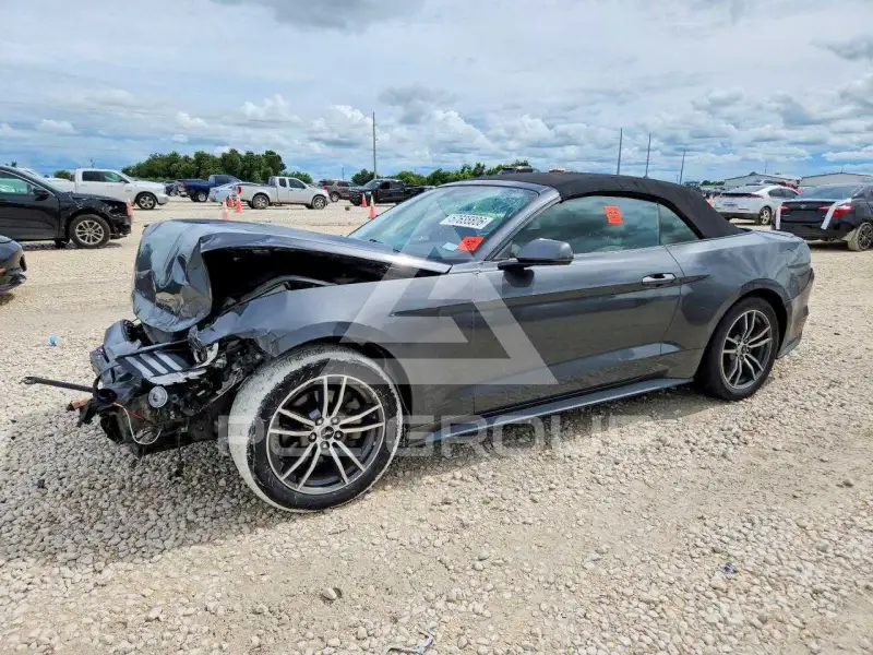2017 Ford MUSTANG photo