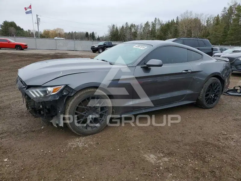 2017 Ford MUSTANG photo