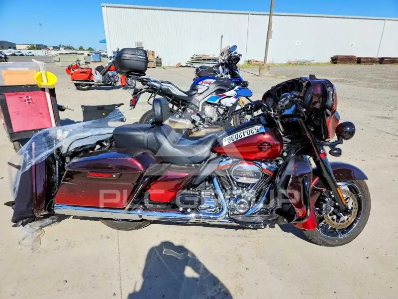 2018 Harley-Davidson FLSE фото