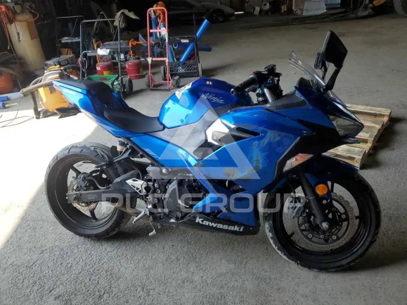 2018 Kawasaki  photo
