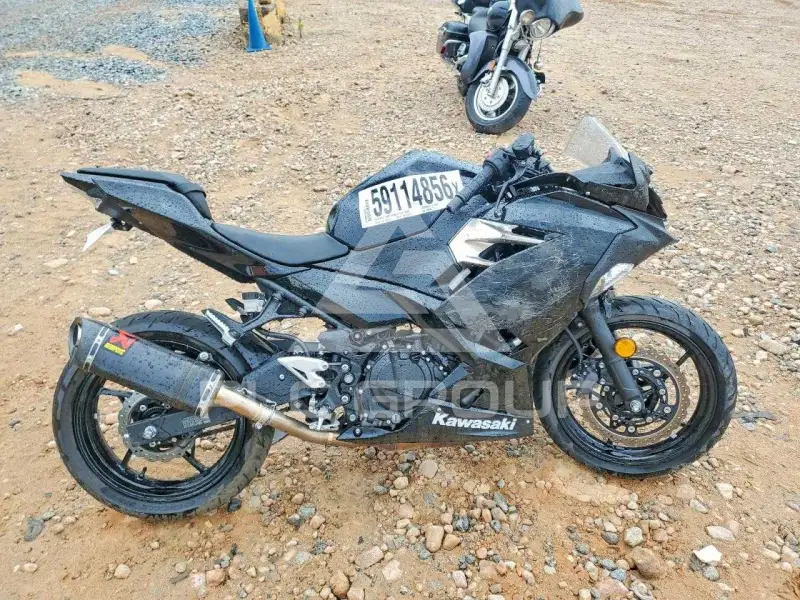 2018 Kawasaki  фото