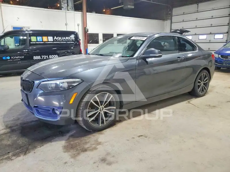 2018 BMW 230 photo