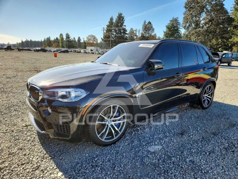 2018 BMW X5 фото
