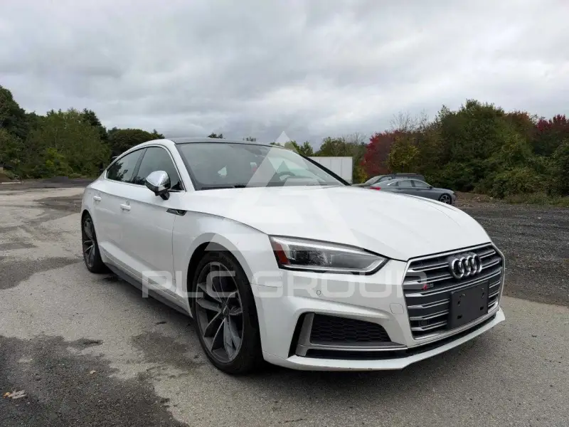 2018 Audi S5 фото