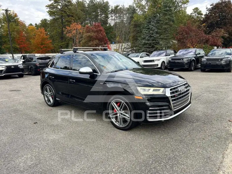 2018 Audi SQ5 фото