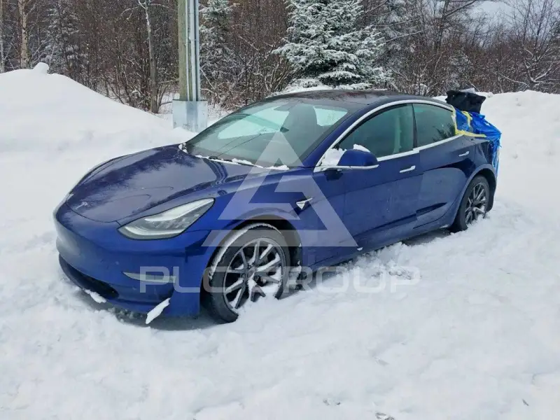 2018 Tesla Model 3 фото