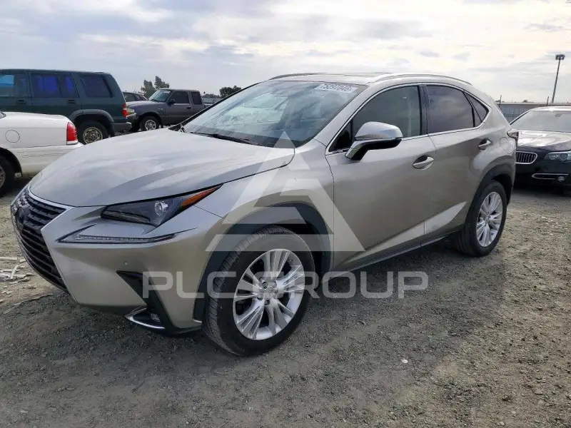 2018 Lexus NX фото