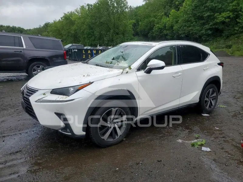 2018 Lexus NX photo